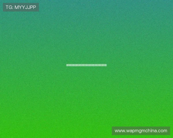 银河娱乐投资者关系:公司治理结构与风险管理体系的详细介绍 银河娱乐投资者关系:公司治理结构与风险管理体系的详细介绍